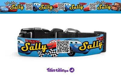 Cars- Sally