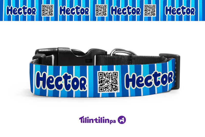 Collar funny blue