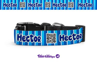 Collar funny blue