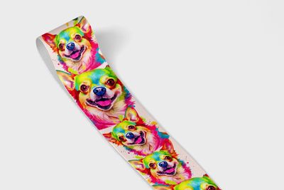 Llavero - Chihuahua colores