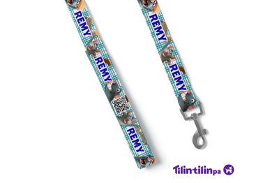 Collar ratatouille-Remy