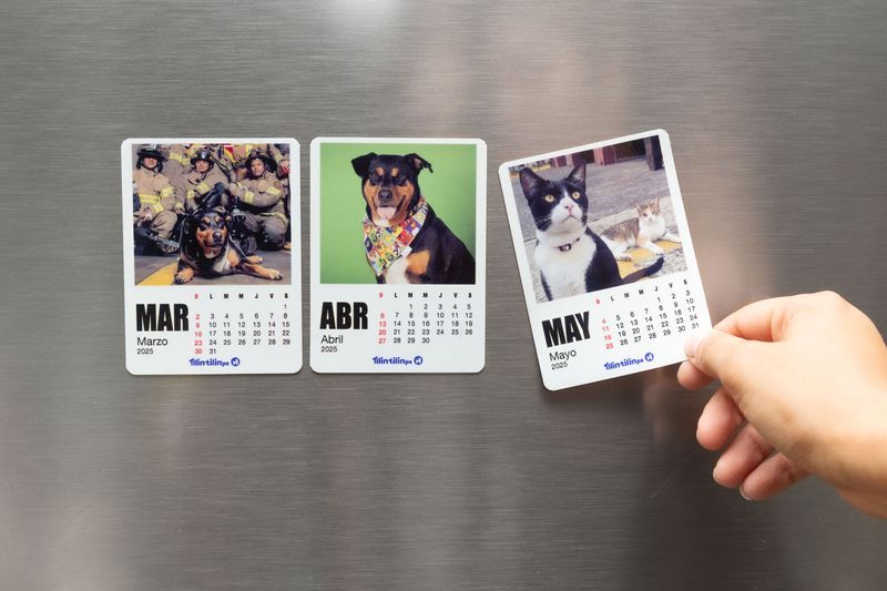 Calendario magnético personalizado