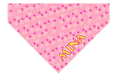 Bandana Mina