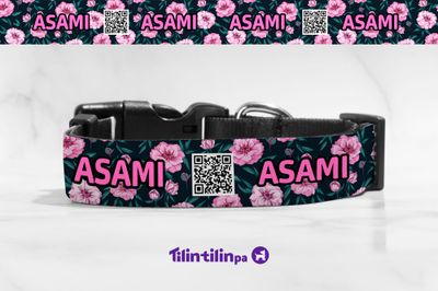 Collar Asami