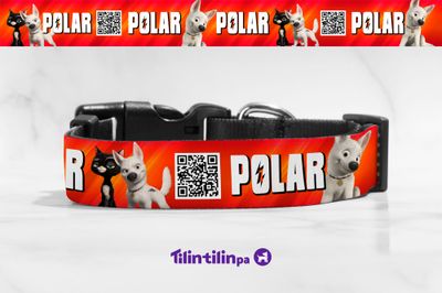 Collar Bolt