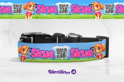 Collar Paw PAtrol - Skye