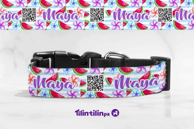 Collar Sandia