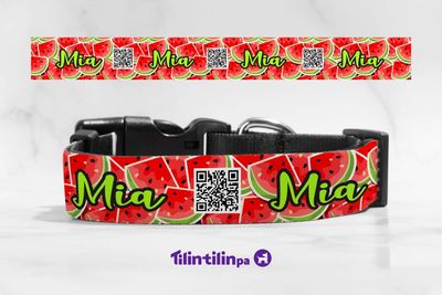 Collar Watermelon