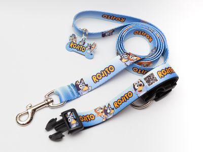 Collar y correa