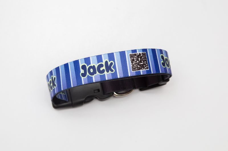 Collar funny blue