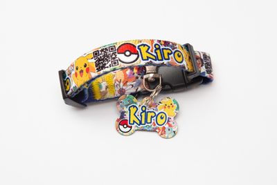 Collar Pokemon