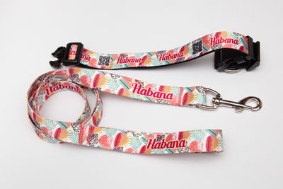 Collar Onda tropical