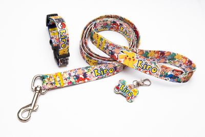 Collar Pokemon