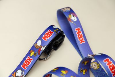 Collar Snoopy blue