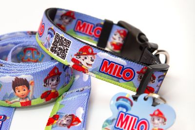 Collar Paw Patrol - Marshall