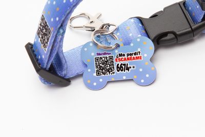 Collar Toby blue