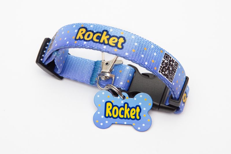 Collar Toby blue