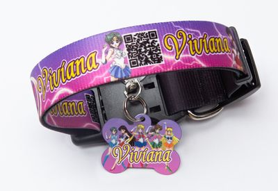 Collar Sailor Moon