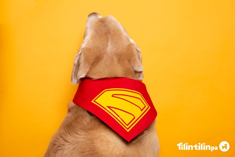 SUPER bandana reversible Superman