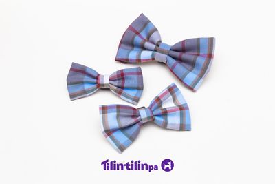 Lazo Dandy Azul Lazo Dandy Azul