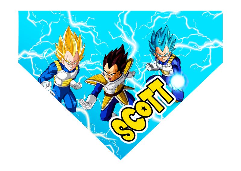 Bandana Vegeta Bandana Vegeta