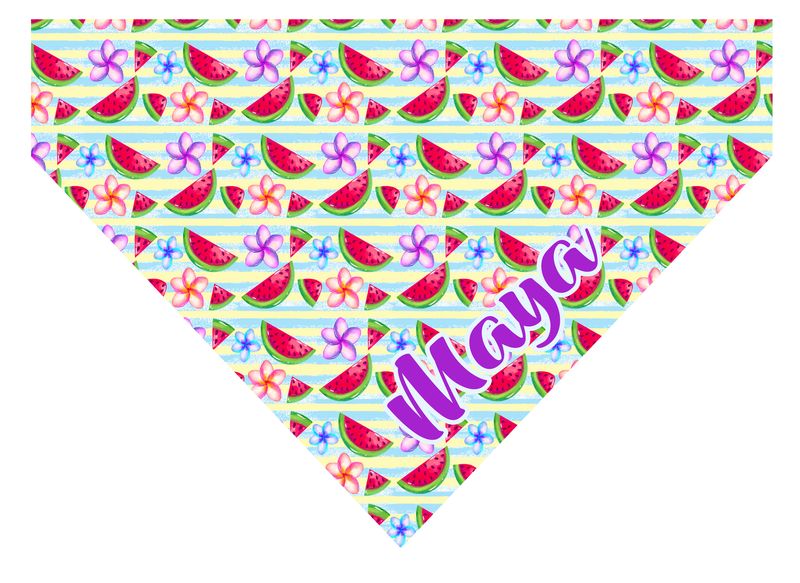 Bandana Sandia Bandana Sandia