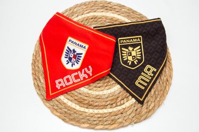 Bandana Selección de Futbol Panamá