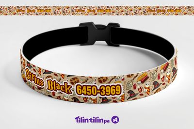 Gato Harry Potter Gryffindor