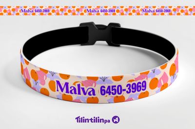 Gato Mandarina Gato Mandarina