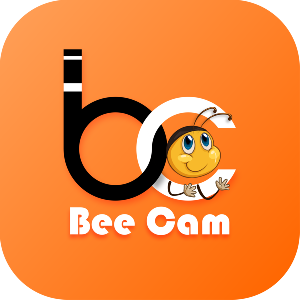 Bee Cam