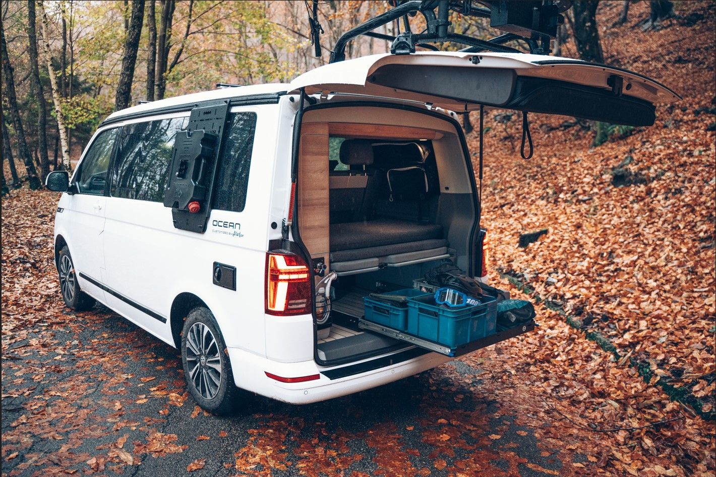 Vasca Posteriore California Ocean