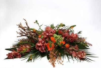 Cymbidium