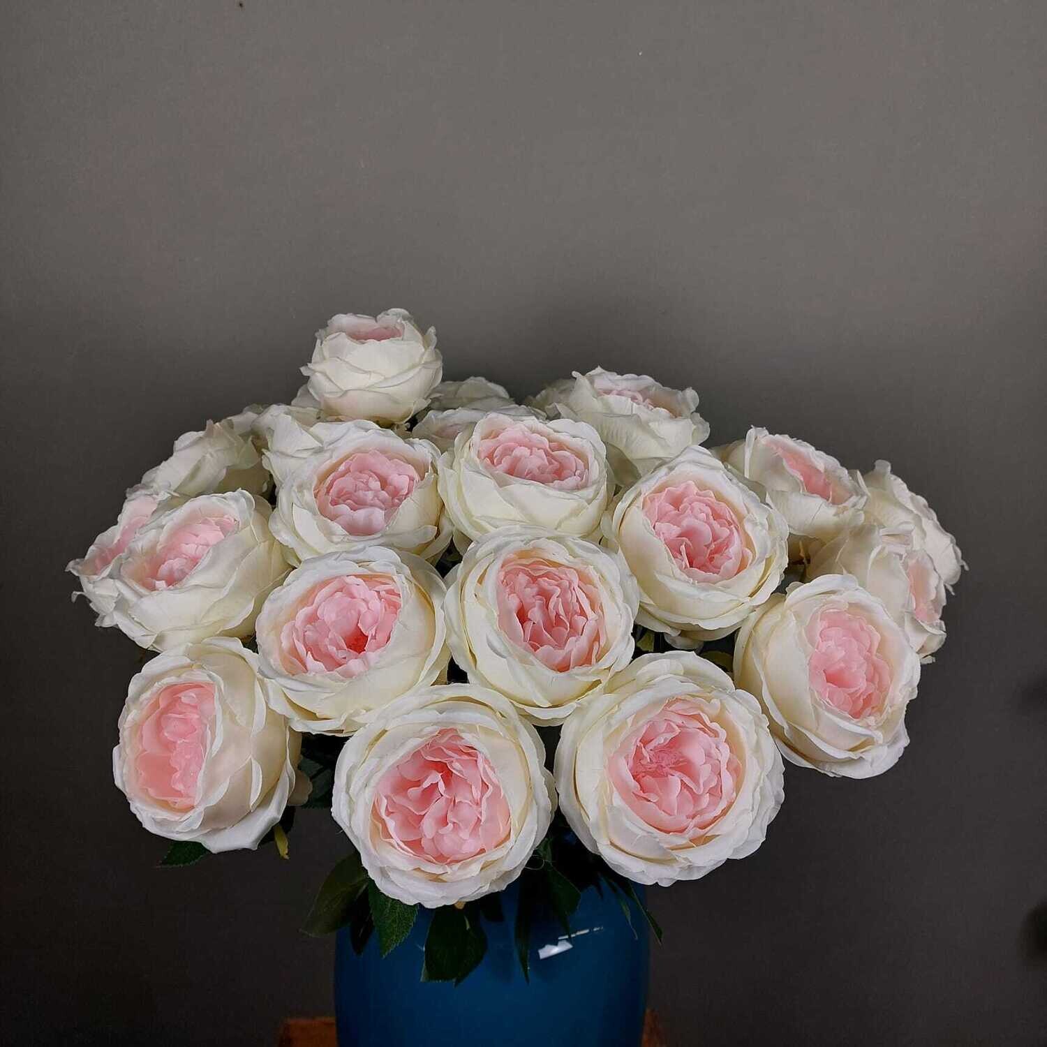 Zijde roos wit roze, 65 cm