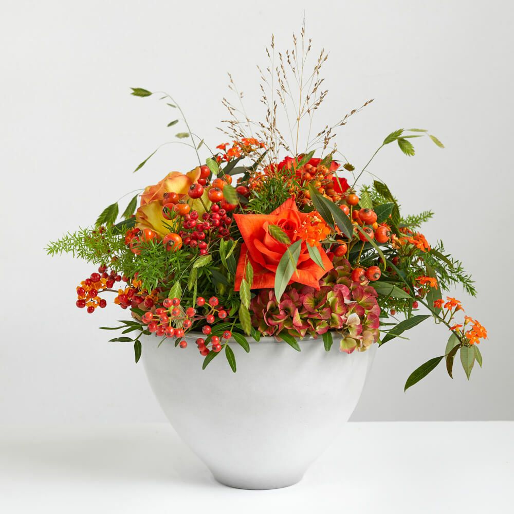 Oranje boven