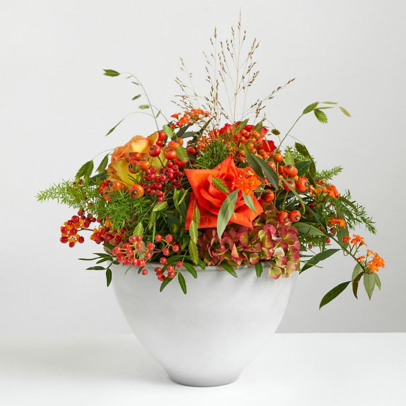 Oranje boven