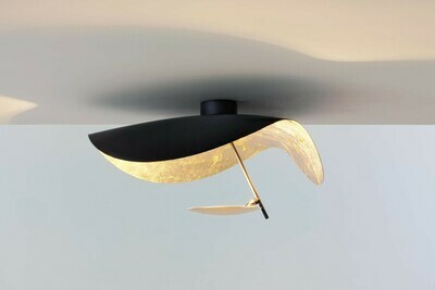 Catellani &amp; Smith Lederam Manta CWS1 Wand-/ Deckenleuchte