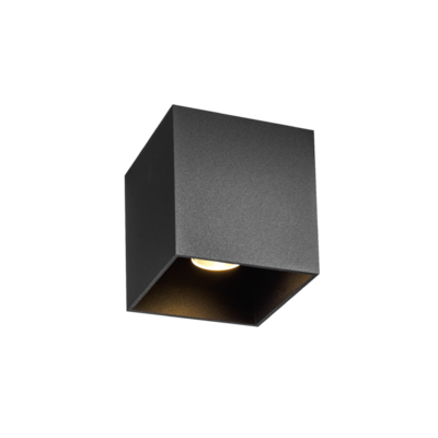 Wever &amp; Ducré Box 1.0 PAR16 Deckenleuchte