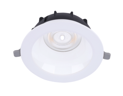 LED Downlight Performer MW