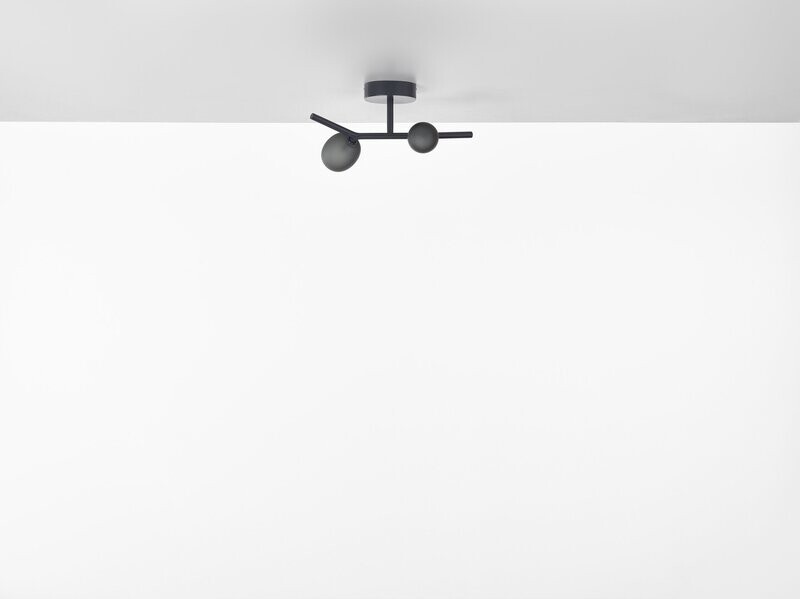 BROKIS Ivy ceiling