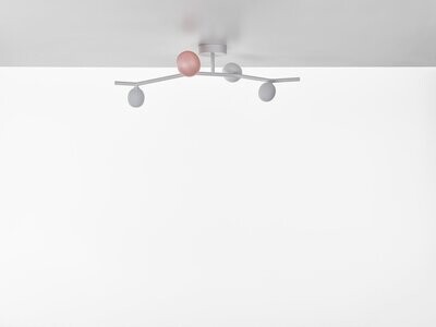 BROKIS Ivy ceiling