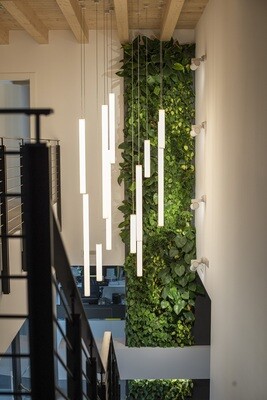 Linea Light Collection Tu-V Pendelleuchte