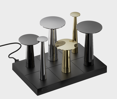 IP44.de lix Multi-Ladestation