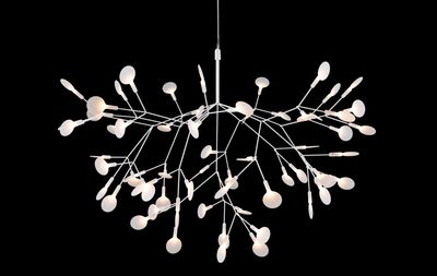 moooi Heracleum III Pendelleuchte
