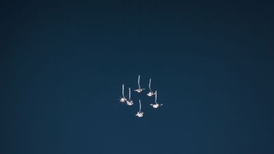 Catellani &amp; Smith Jackie O Chandelier 6/9/12 Pendelleuchte