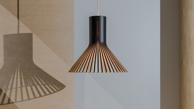 Secto Design Puncto 4203 Pendelleuchte