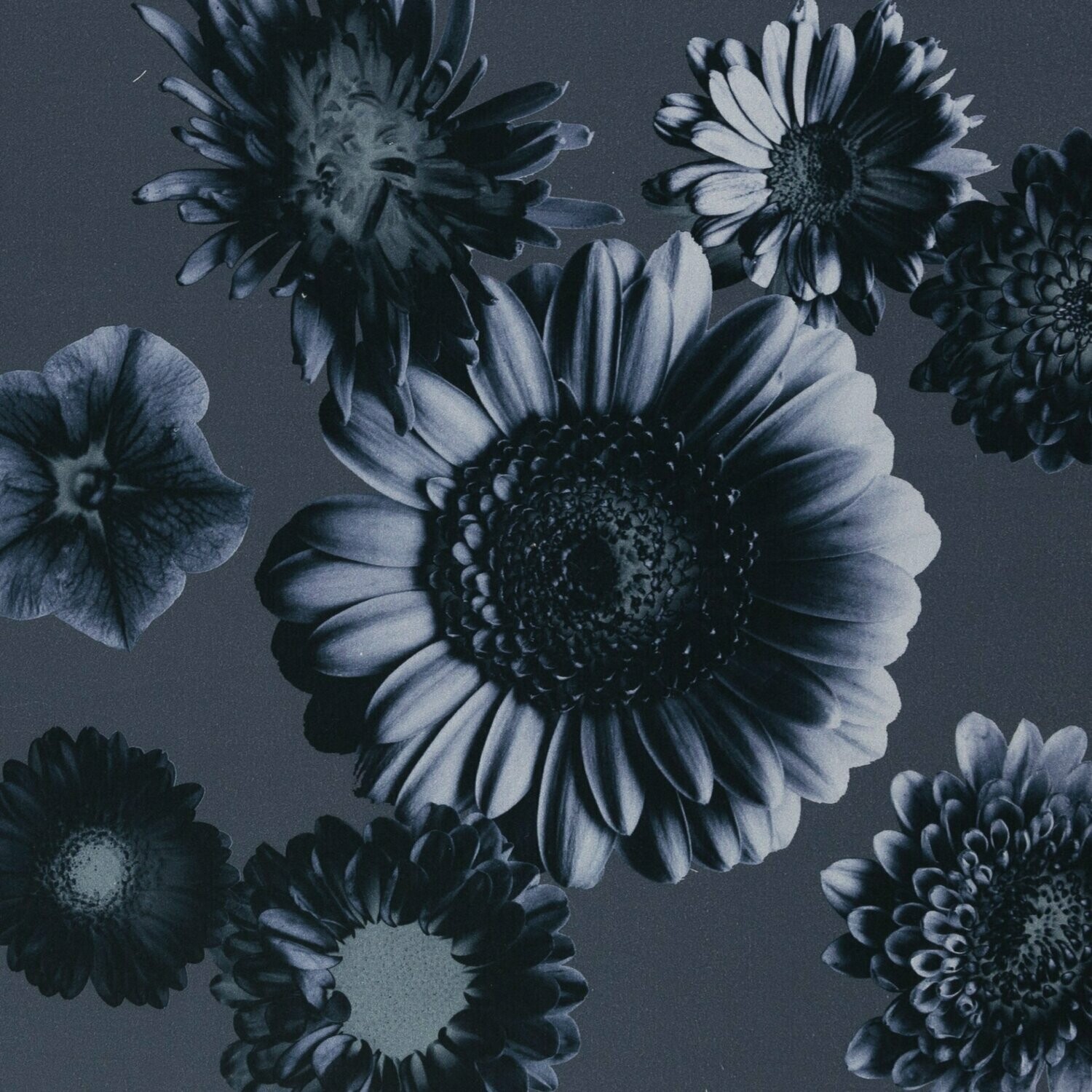 Tinted Flower