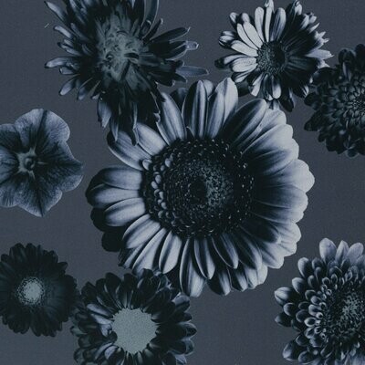 Tinted Flower