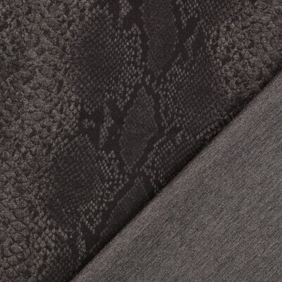 Schlangen Punta di Roma Schlangen Punta di Roma