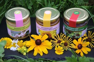 3 x Bio-Honige - mit Bienenpower durch die kalte Jahreszeit!