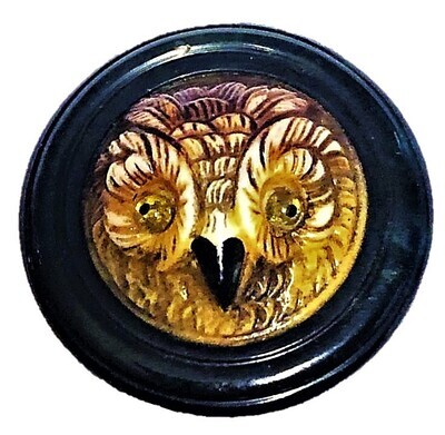 A BAKELITE BUTTON WITH A MOLDED GLASS OWL CENTER
